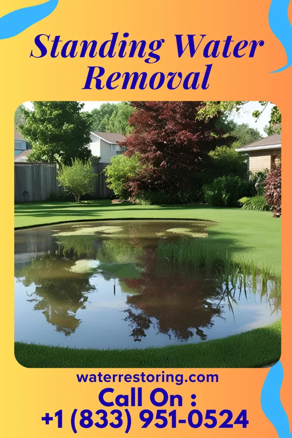 Standing Water Removal in Byesville, OH